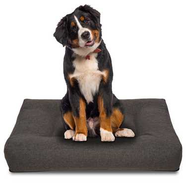 120 x 100 x 20 cm Petzzz ergonoomiline koerapadi Milo suurus XL