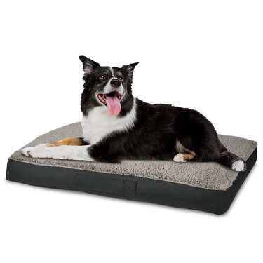 Petzzz ergonomic dog cushion Wormi L 100 x 70 x 14 cm
