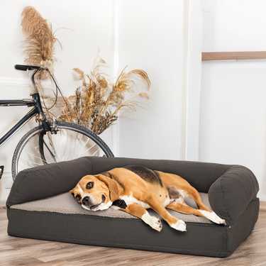 Letto ortopedico per cani 100 x 70 x 27 cm con schienale taglia M