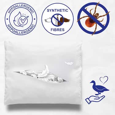 2 x "CloudComfort Basic" mikropluošto pagalvė 80 x 80 cm