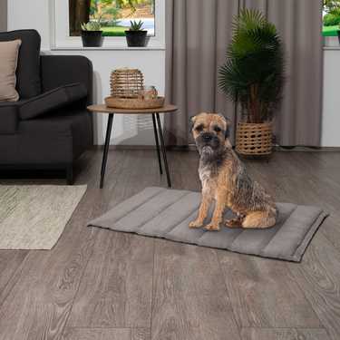 Petzzz dog blanket Fred L 100 x 65 x 4 cm