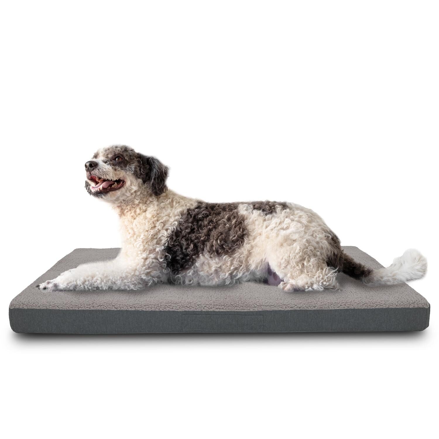 Beeztees Siba Orthopedisch Hondenkussen | Hond | Bestellen