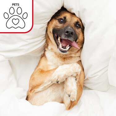 4er-Set Wasserdichtes Molton Spannbettlaken 140 x 200 cm