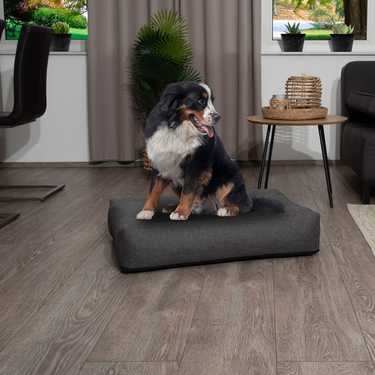 120 x 100 x 20 cm Petzzz ergonoomiline koerapadi Milo suurus XL
