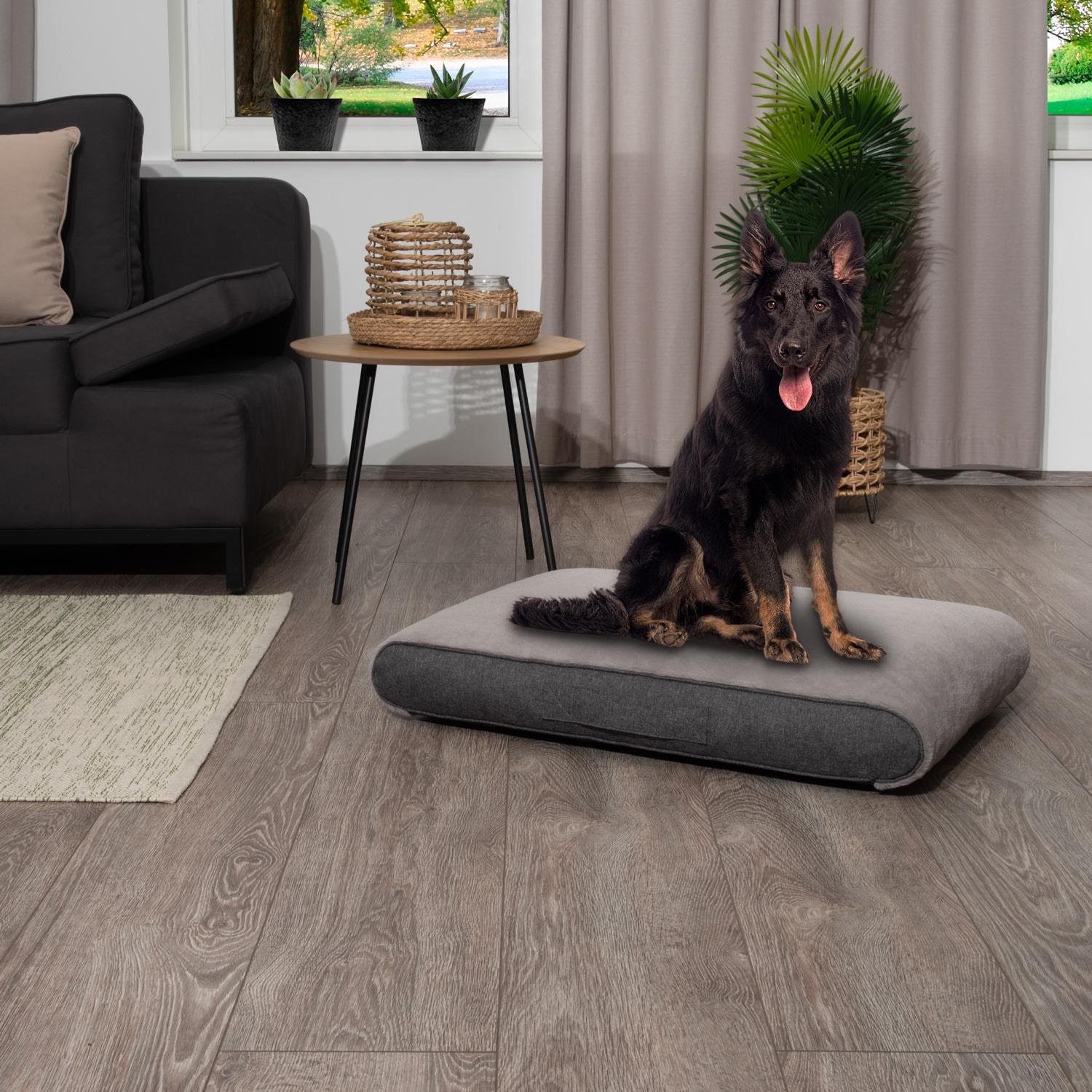 Petzzz ergonomisches Hundekissen Rocky XL x 15 cm