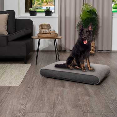 118 x 81 x 15 cm Cuscino ortopedico per cani Petzzz Rocky taglia XL