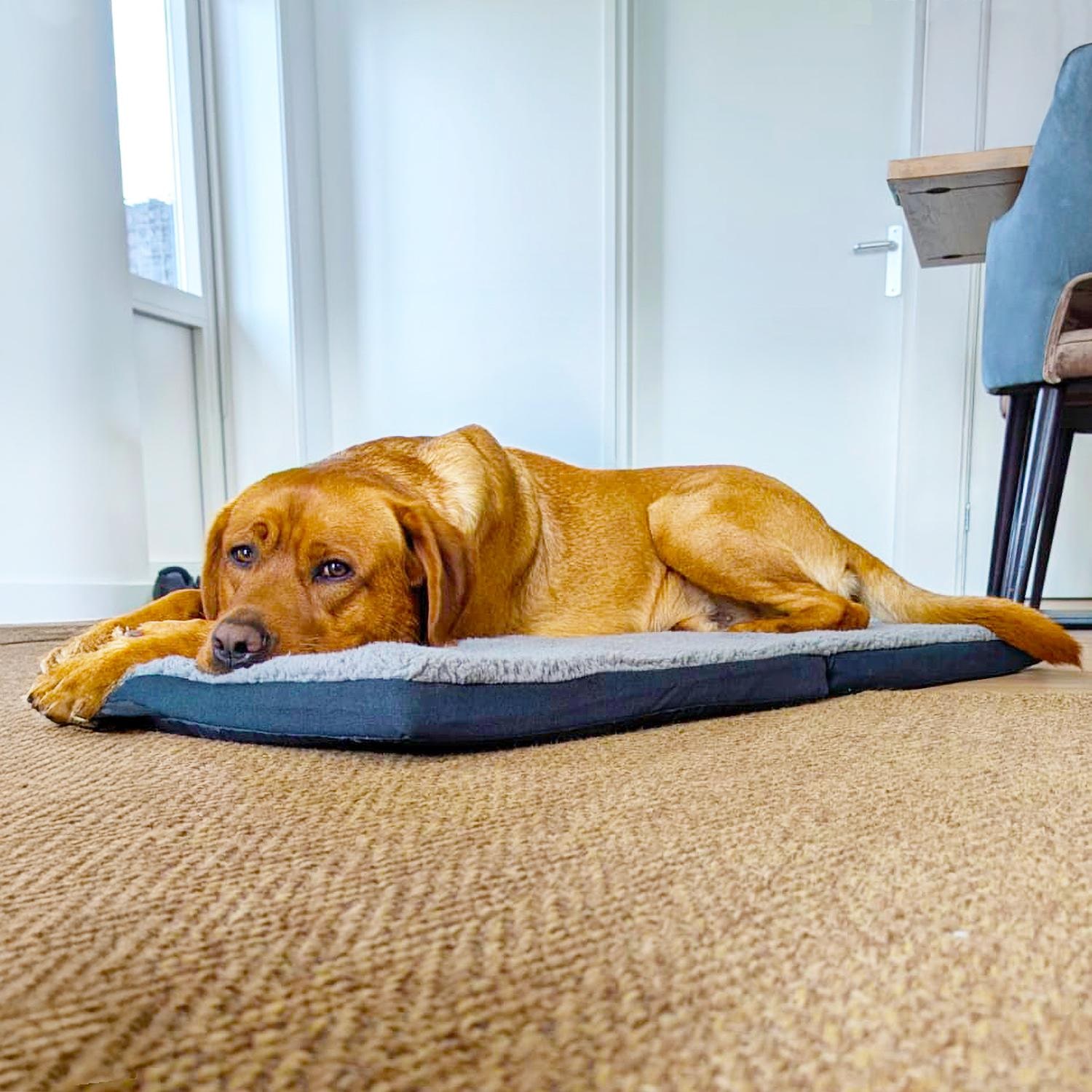 Petzzz ergonomiczna mata dla zwierząt Diva XL 120 x 80 x 5 cm, składana, antypoślizgowa