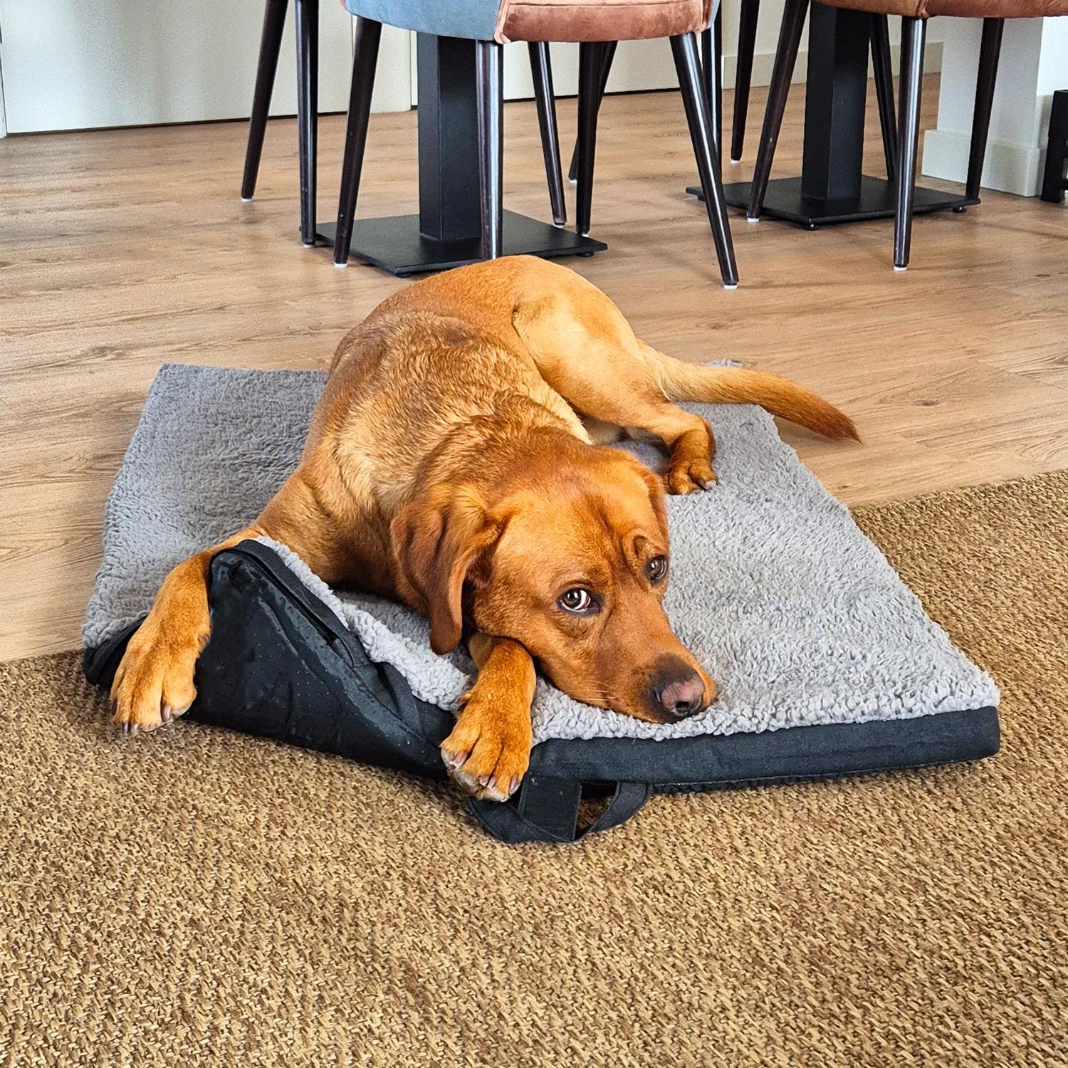 Petzzz ergonomiczna mata dla zwierząt Diva XL 120 x 80 x 5 cm, składana, antypoślizgowa