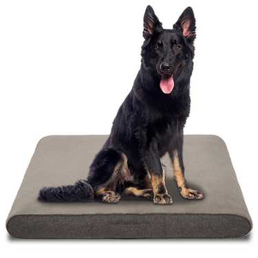 118 x 81 x 15 cm Cuscino ortopedico per cani Petzzz Rocky taglia XL