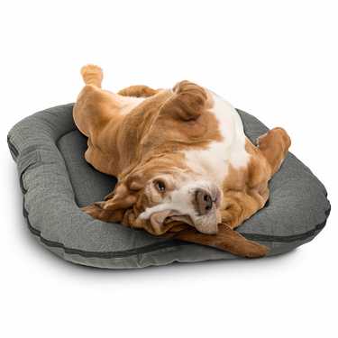 120 x 80 x 10 cm Petzzz dog cushion anthracite size M