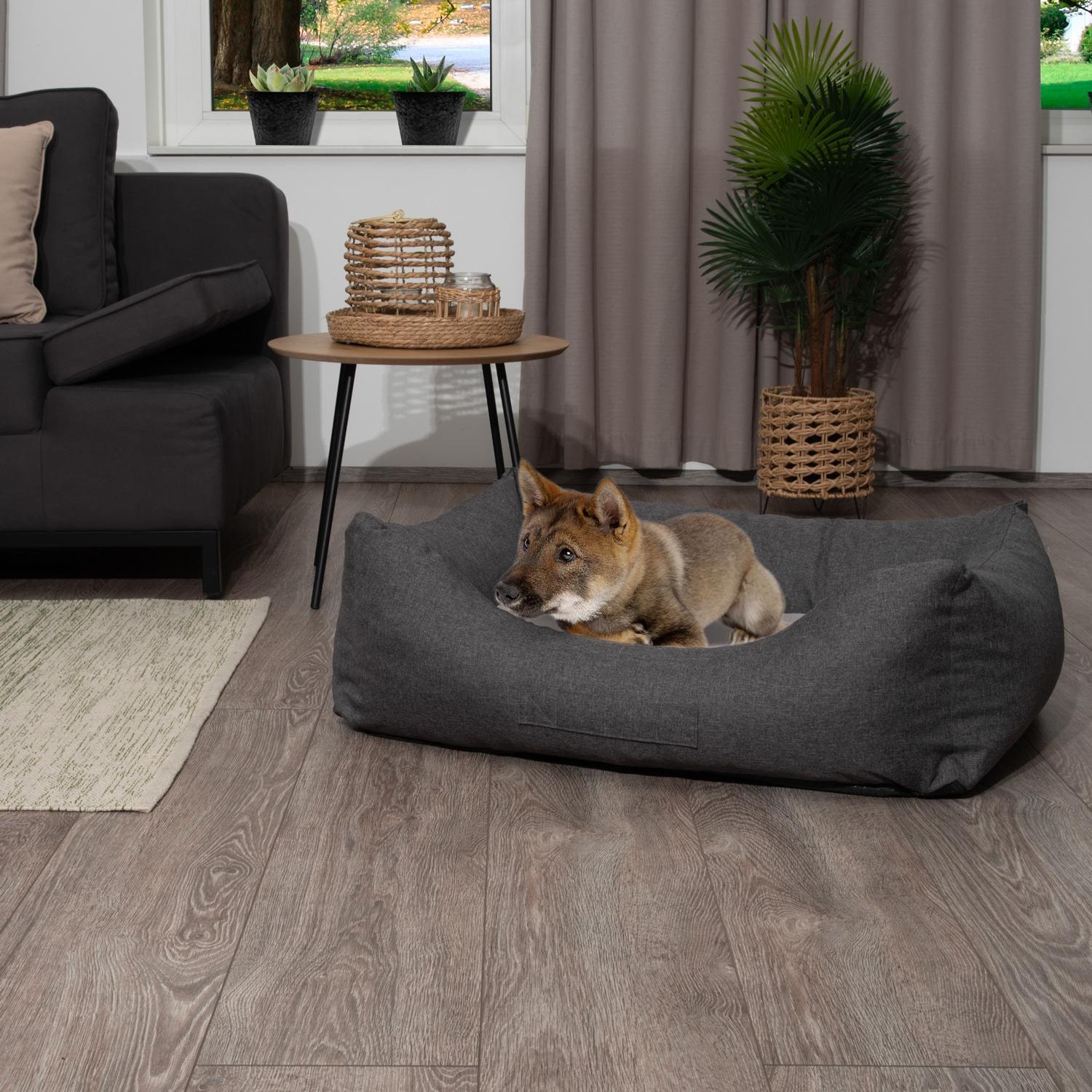Petzzz dog bed Lucky L 100 x 70 x 27 cm with orthopaedic inner cushion