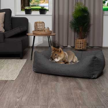 Petzzz dog bed Lucky L 100 x 70 x 27 cm with orthopaedic inner cushion
