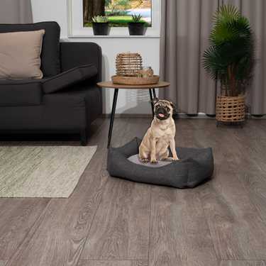 Petzzz cat and dog bed Felix S 60 x 40 x 17 cm with reversible inner cushion