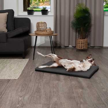100 x 70 x 5 cm viscoelastic dog mat size L