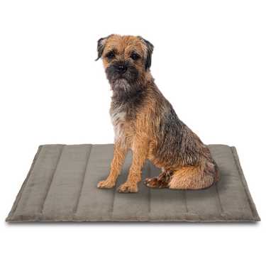 Petzzz dog blanket Fred L 100 x 65 x 4 cm
