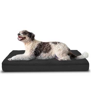 120 x 75 x 10 cm Petzzz orthopädisches Hundekissen Größe XL Farbe schwarz