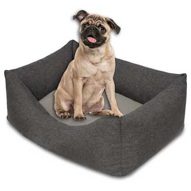 Petzzz cat and dog bed Felix S 60 x 40 x 17 cm with reversible inner cushion