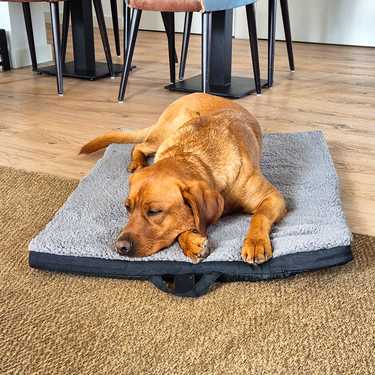 Petzzz ergonomic pet mat Diva XL 120 x 80x 5 cm, foldable, non-slip