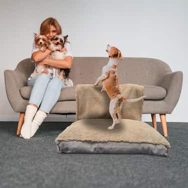 100 x 70 x 10 cm Gelflocken Hundematte Größe L mit abnehmbarer Decke