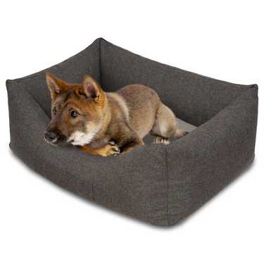 Petzzz dog bed Lucky L 100 x 70 x 27 cm with orthopaedic inner cushion