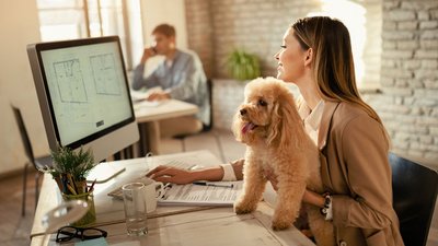 Ein Hund im Büro für das perfekte Arbeitsklima