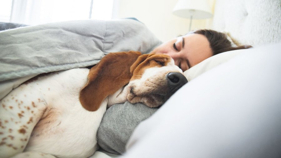 Schlafhygiene im Bett